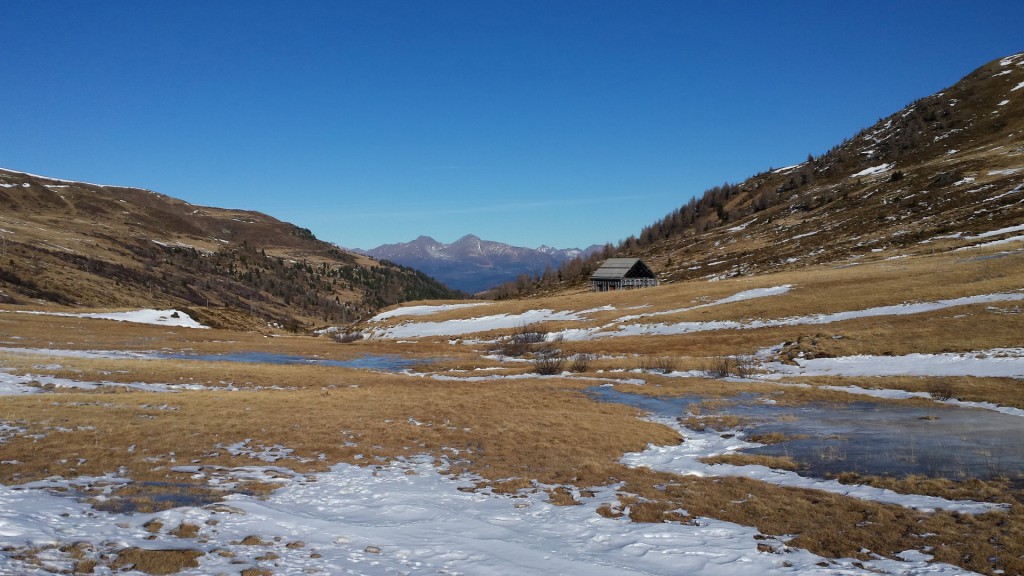 06 Zurück auf der Karneralm (Large)