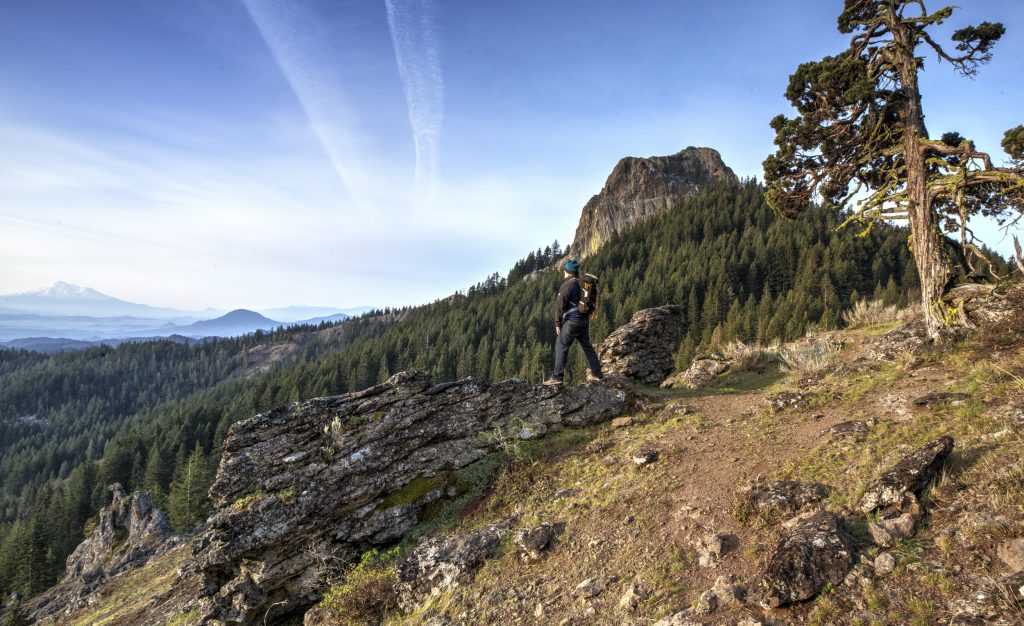 JARDINE, Ray Trail Life